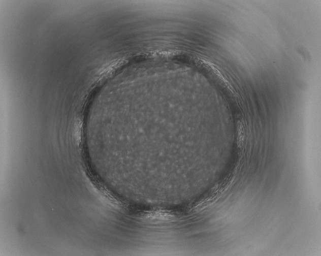 X0000116000451200912031512