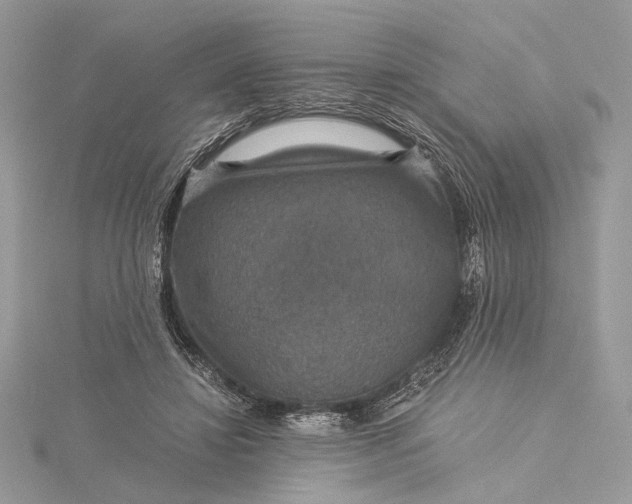 X0000116000452200912031512