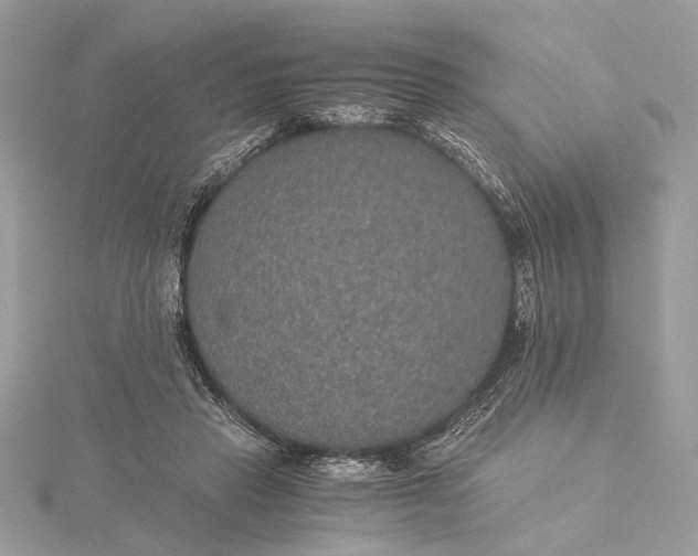 X0000116000453200912031512