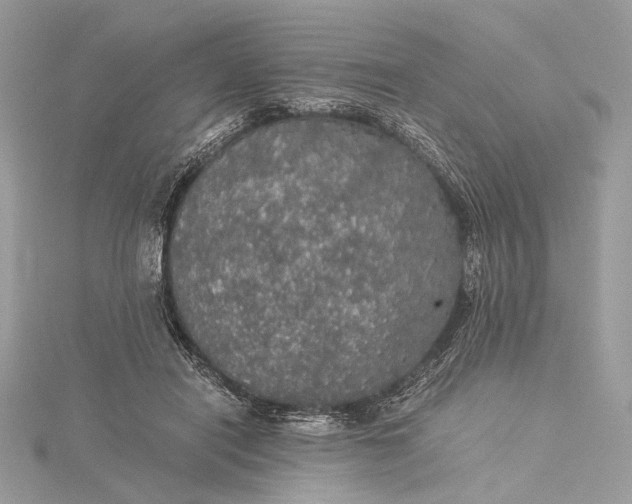 X0000116000454200912031512