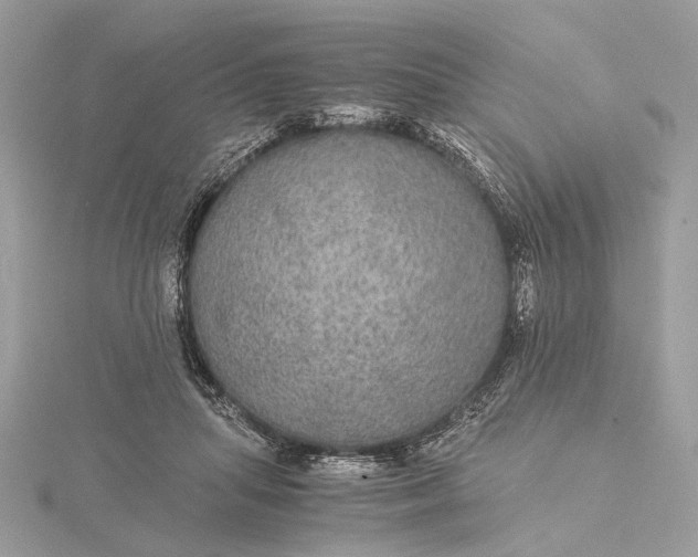 X0000116000455200912031512