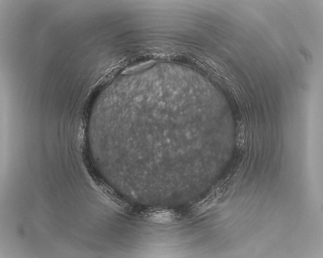 X0000116000456200912031513