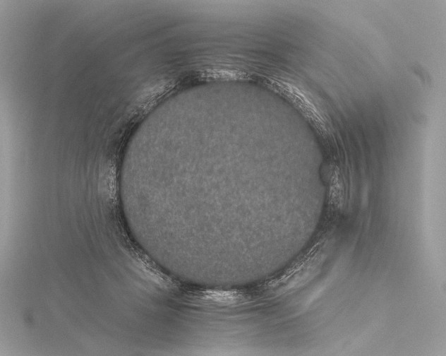 X0000116000457200912031513