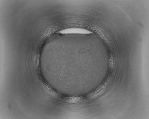 X0000116000458200912031513