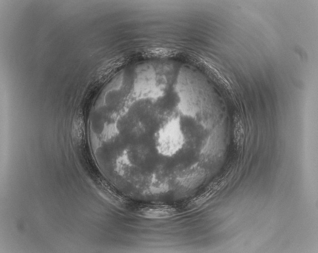 X0000116000459200912031513