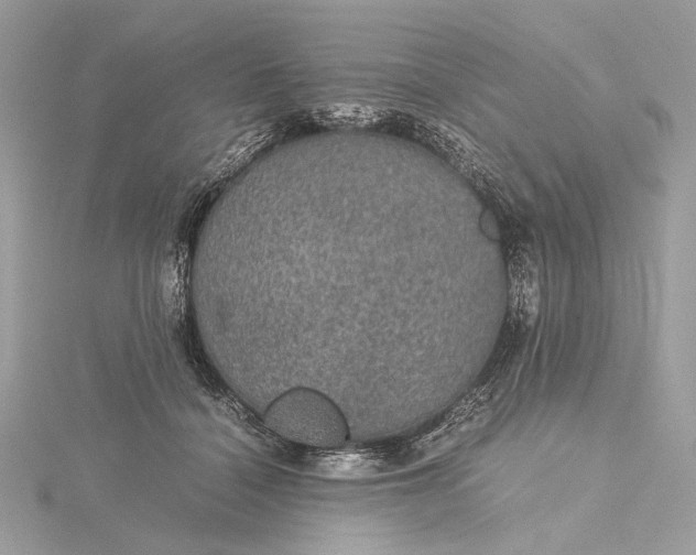 X0000116000460200912031513