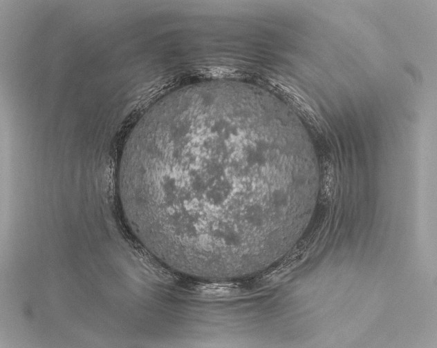 X0000116000461200912031513