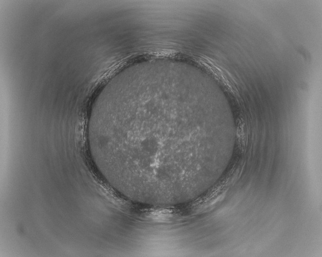 X0000116000462200912031513