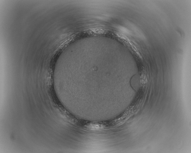 X0000116000464200912031513