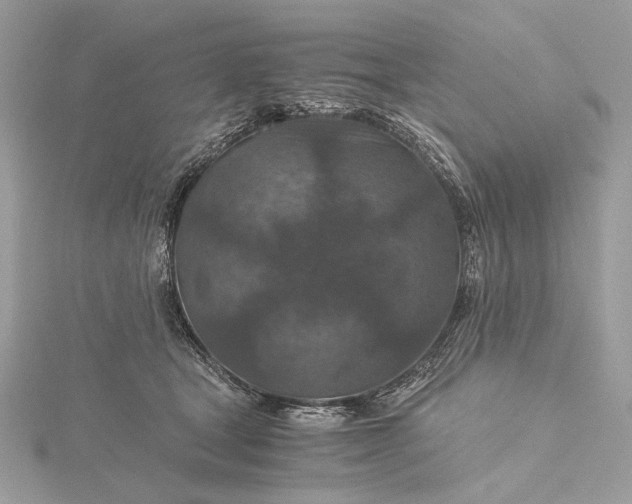 X0000116000465200912031513