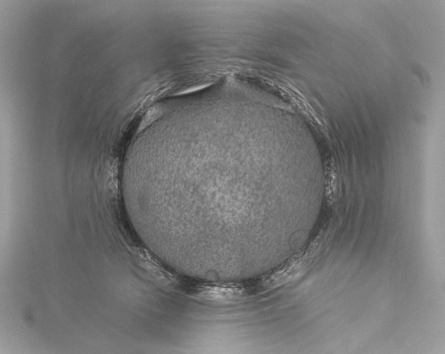 X0000116000466200912031513