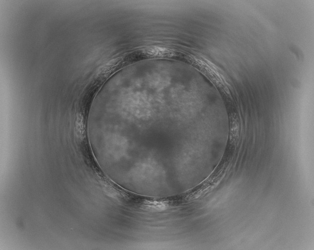 X0000116000469200912031513