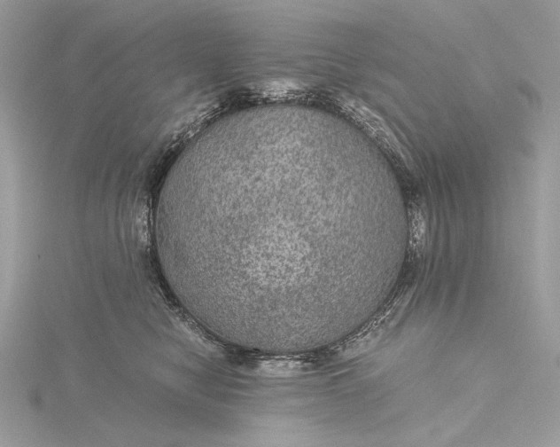 X0000116000470200912031513