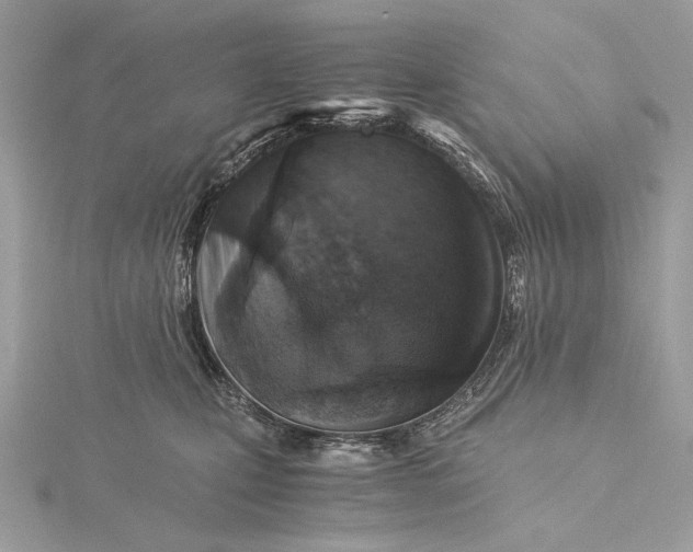 X0000116000471200912031513