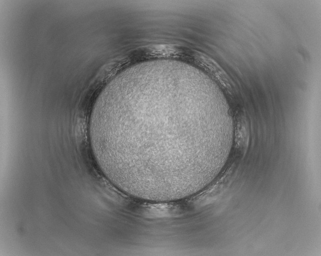 X0000116000473200912031513