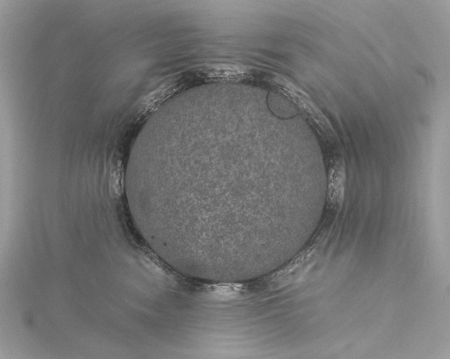 X0000116000474200912031513