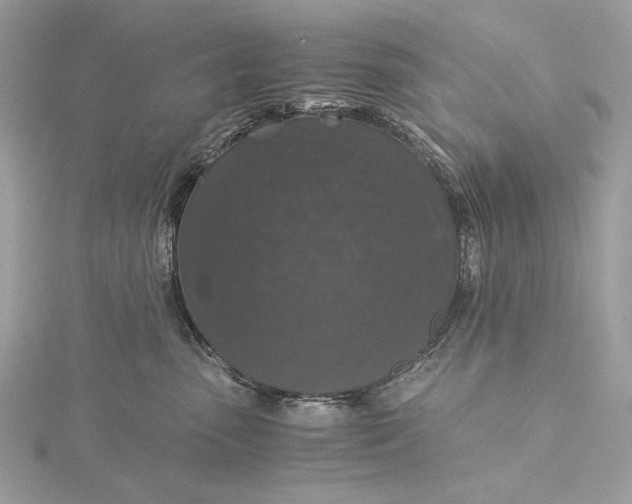 X0000116000475200912031513