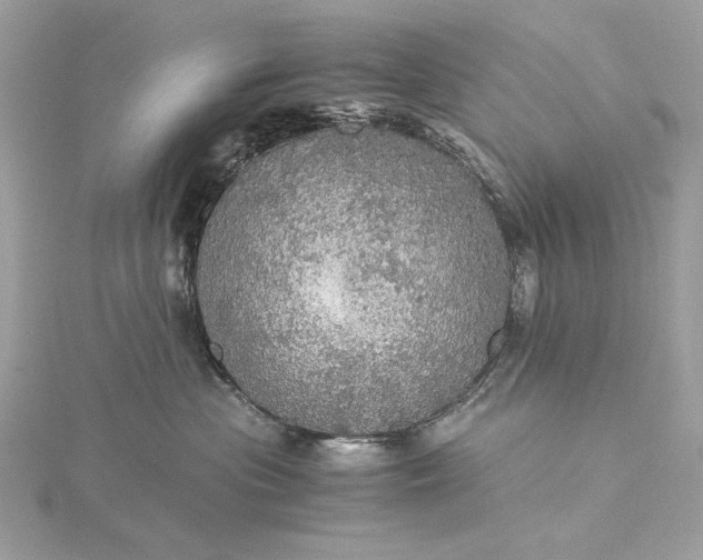 X0000116000477200912031513