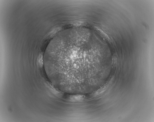 X0000116000479200912031513