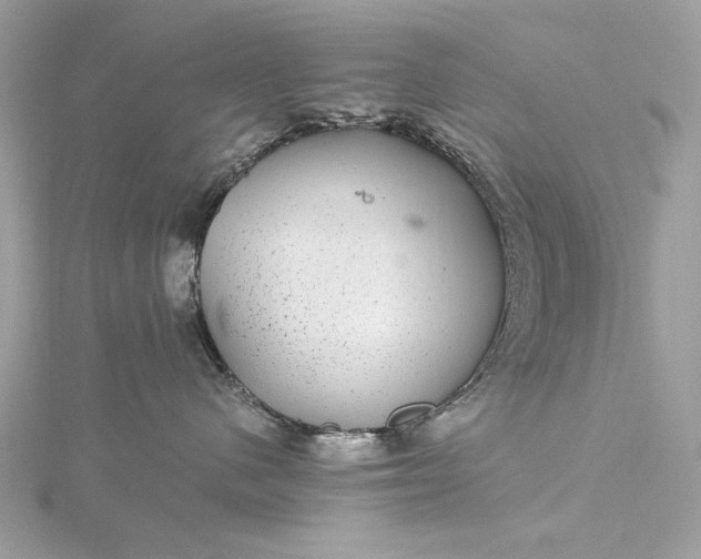 X0000116000480200912031513