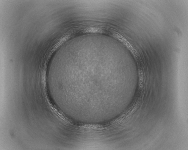 X0000116000482200912031512