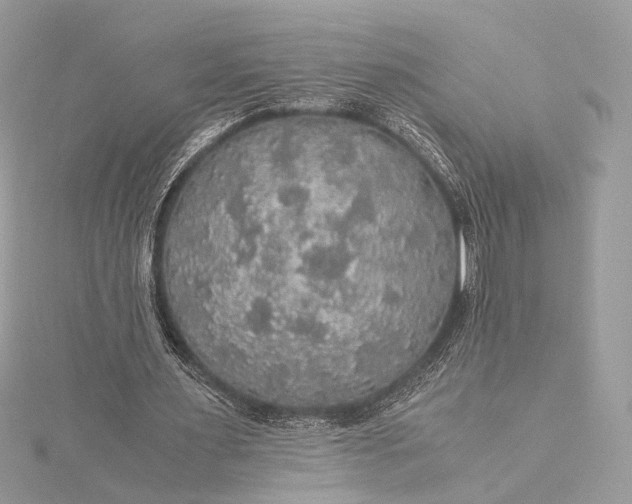 X0000116000483200912031512