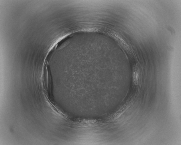 X0000116000484200912031512