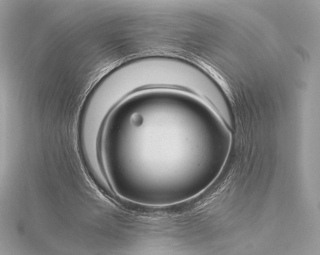 X0000116000485200912031512