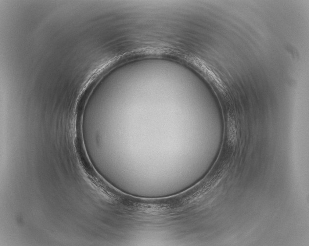 X0000116000486200912031512