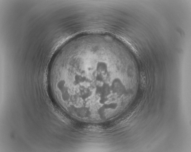 X0000116000487200912031512