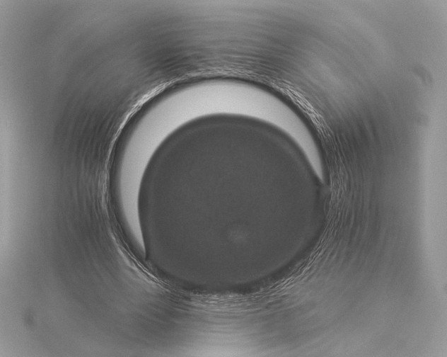 X0000116000488200912031512