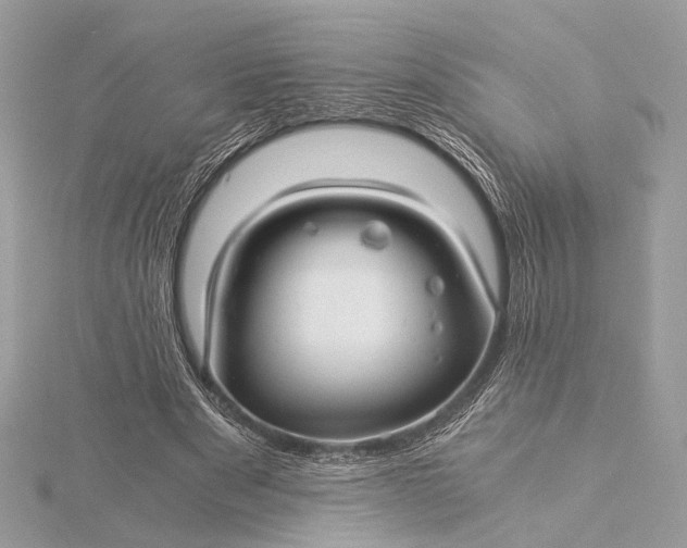 X0000116000489200912031512