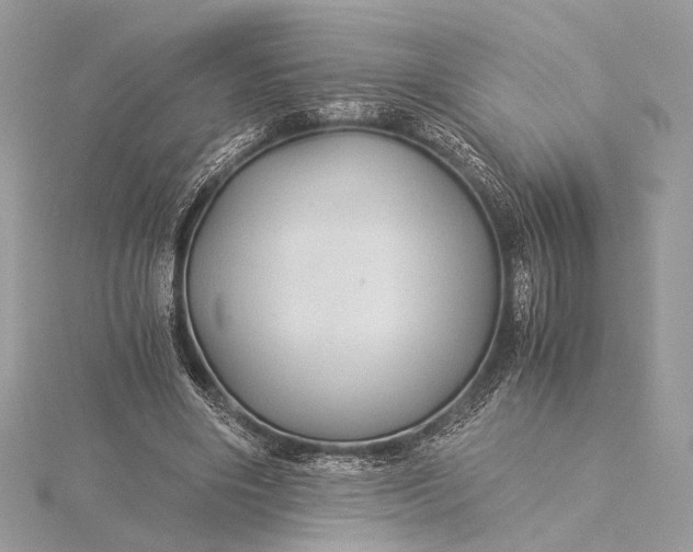 X0000116000490200912031512