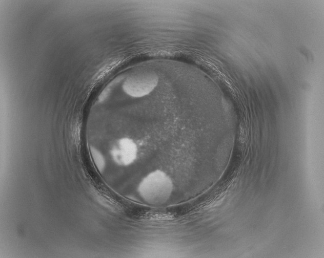 X0000116000491200912031512