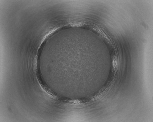 X0000116000492200912031512