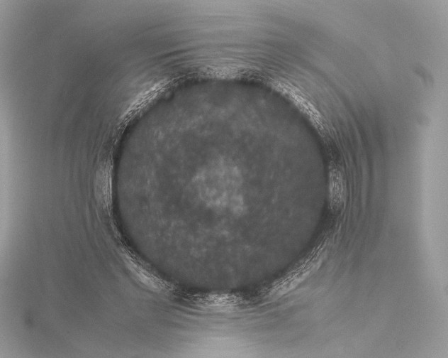 X0000116000493200912031512