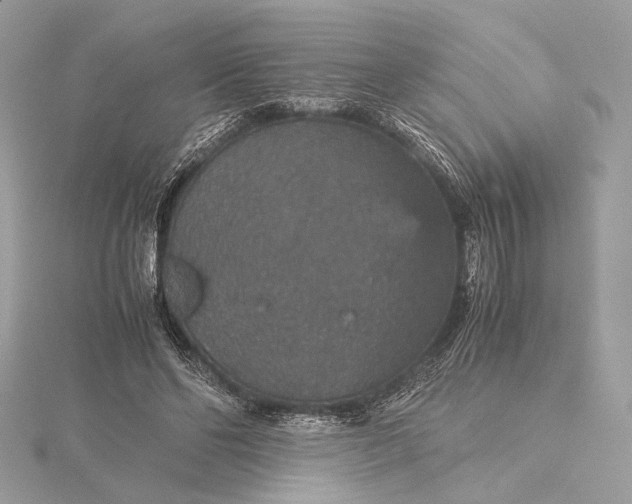 X0000116000494200912031512