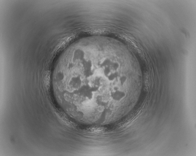 X0000116000495200912031512