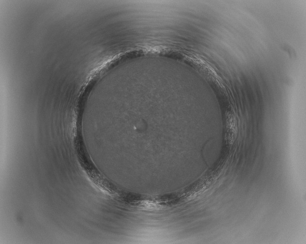 X0000116000496200912031512