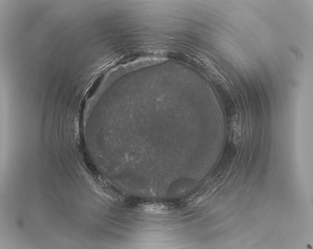 X0000116000500200912031512