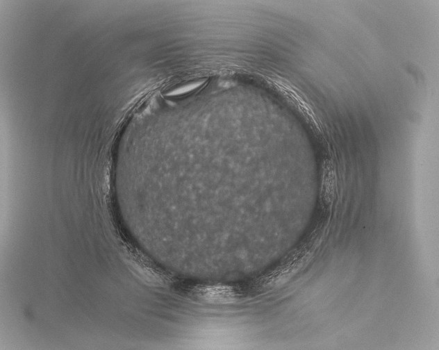 X0000116000501200912031512