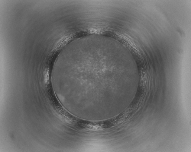 X0000116000502200912031512