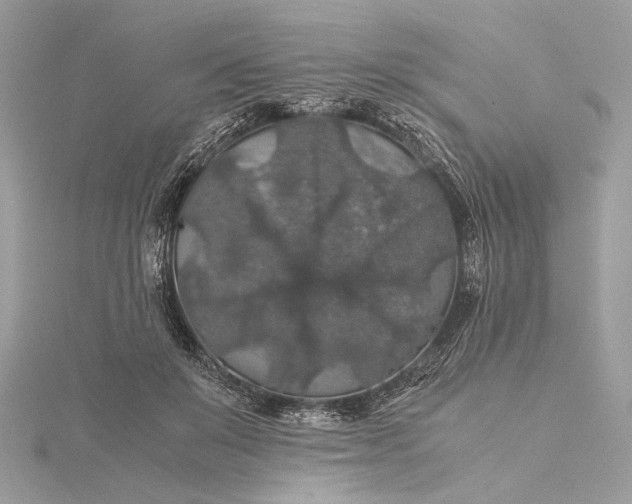 X0000116000503200912031512