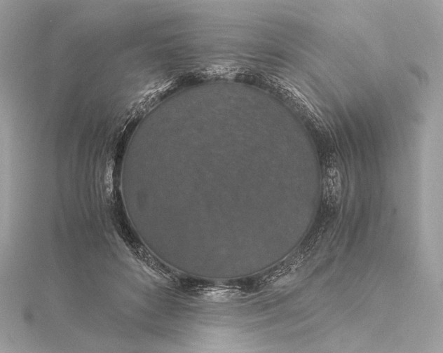 X0000116000504200912031512