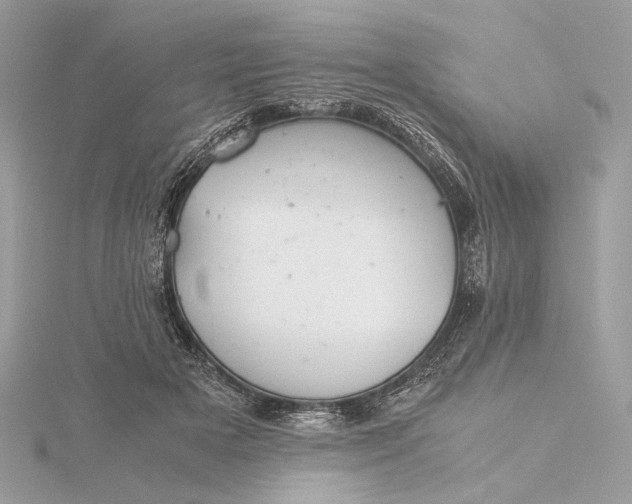 X0000116000505200912031512