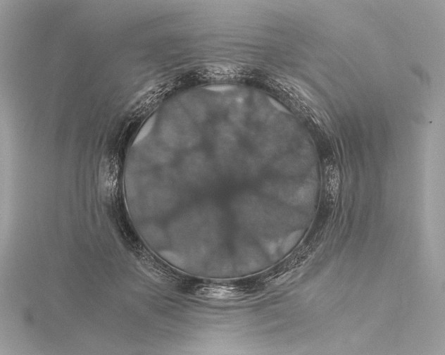 X0000116000507200912031512