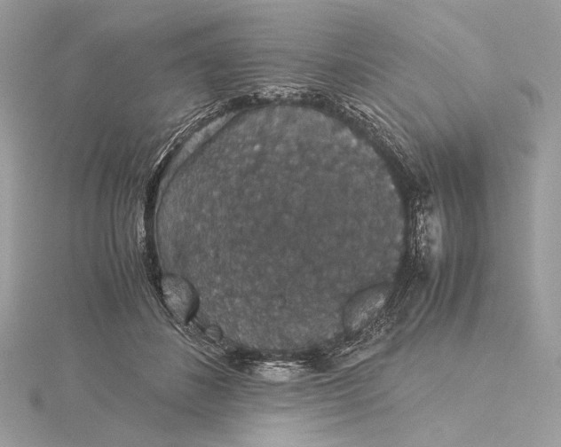 X0000116000508200912031512