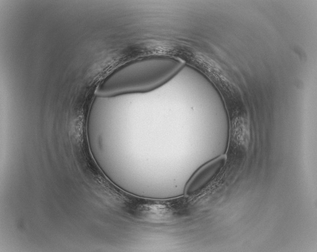 X0000116000509200912031512