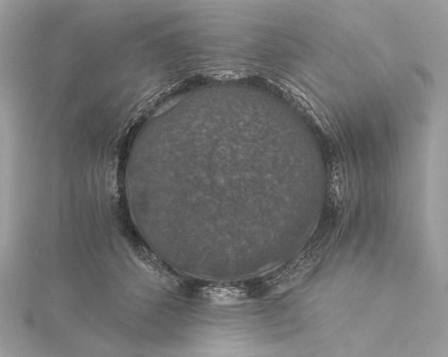 X0000116000512200912031512