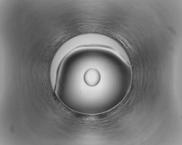 X0000116000513200912031512